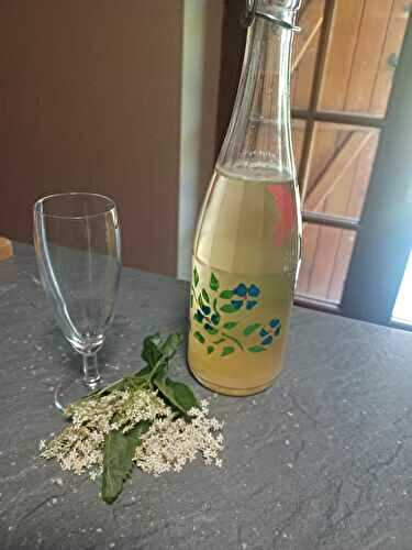 Limonade à la fleur de sureau appelée aussi le champagne des fées 