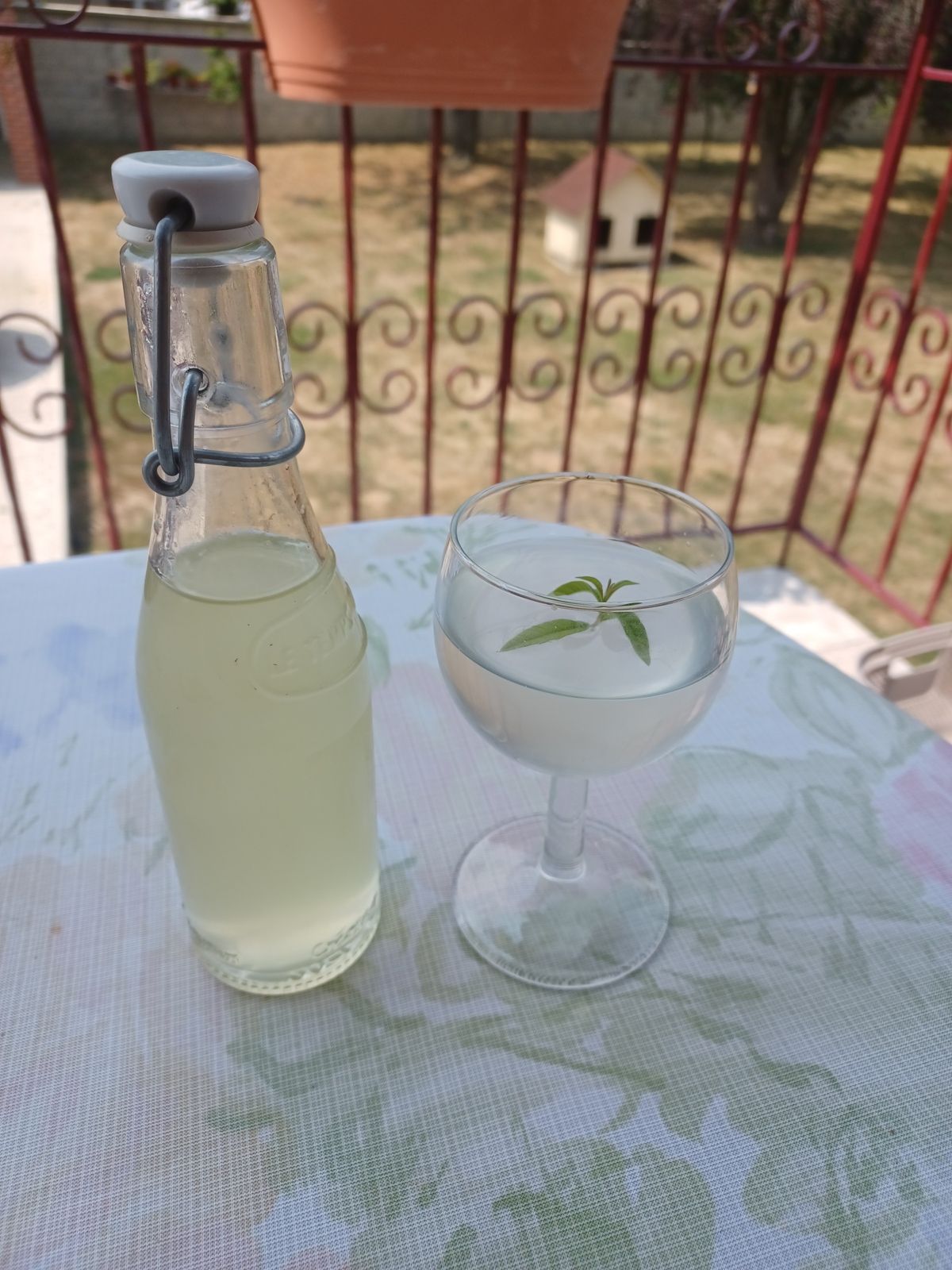 Cozo ou sirop de citron naturel