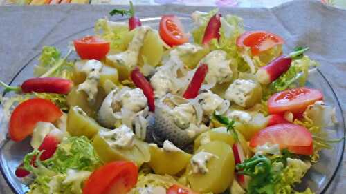 Salade de harengs sauce au raifort