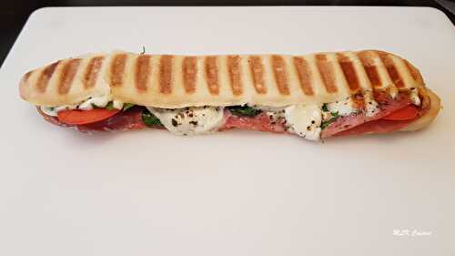 Panini