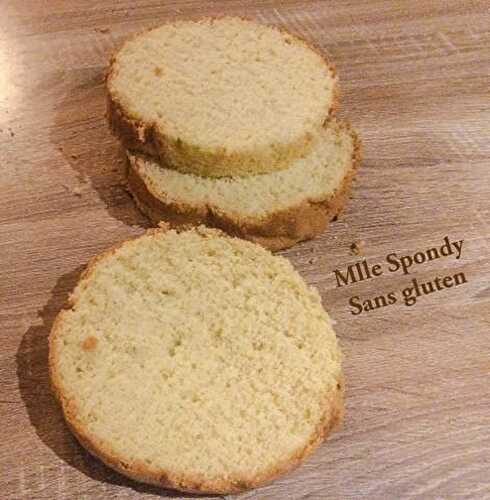 Génoise sans gluten  - Mlle Spondy Sans Gluten 