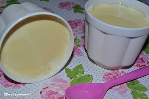 Yaourts aromatisés à la vanille - Mon coin gourmand