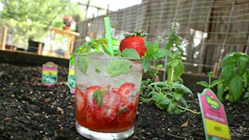 Le mojito à la Fraise Mara des Bois