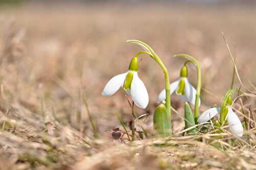 Les envies du terroir de Mars