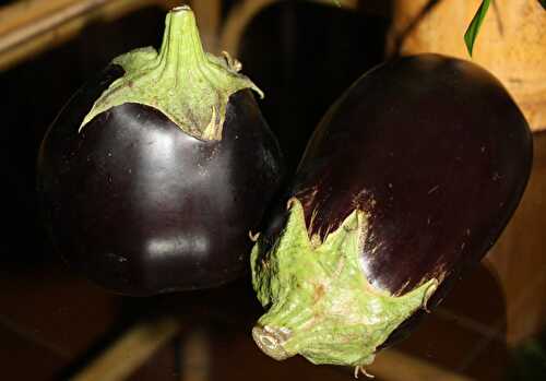 Les petits pots de Soan: purée de lentilles corail et aubergine