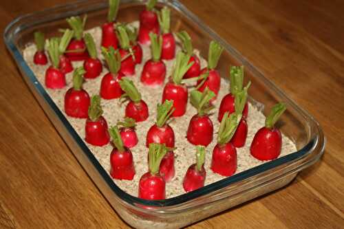 Pour changer des radis-beurre, 2 recettes pour l'apéro: rillettes de radis au chèvre et radis dans leur potager