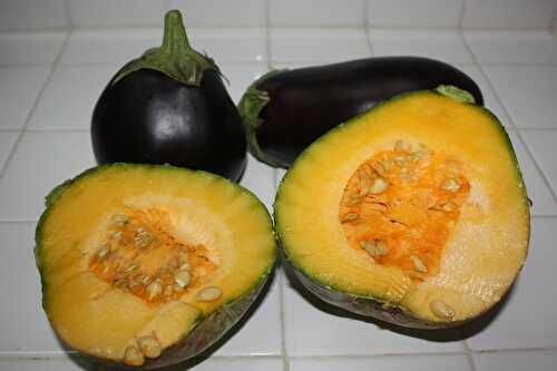 Purée ziromo aubergine