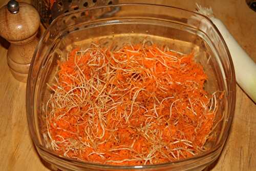 Salade de carottes aux "poils" de poireaux