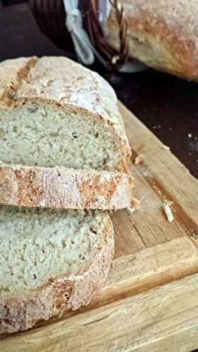 Pain de campagne sans gluten { sans fécule}