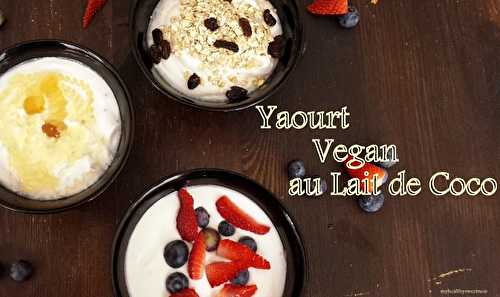 Yaourt au lait de coco : Le B.A BA { avec ou sans yaourtière} - My healthy sweetness