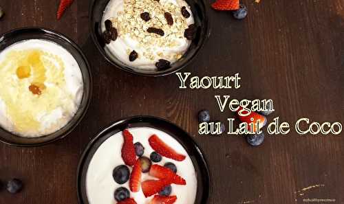 Yaourt au lait de coco : Le B.A BA { avec ou sans yaourtière}