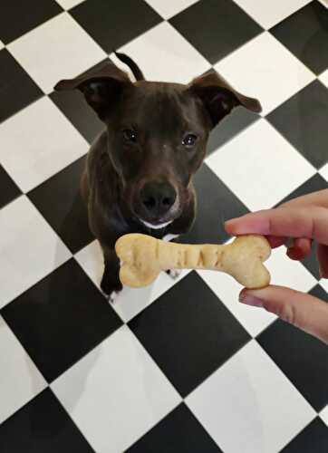 Biscuits pour Max le chien