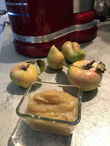 Compote pommes/poires au cook processor
