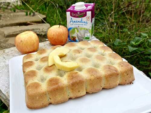 Gâteau au lait d'amande et pommes