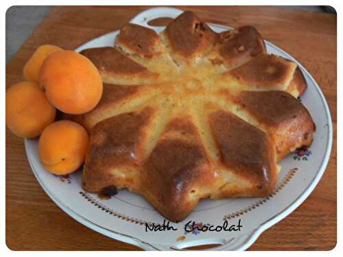 Gâteau aux abricots