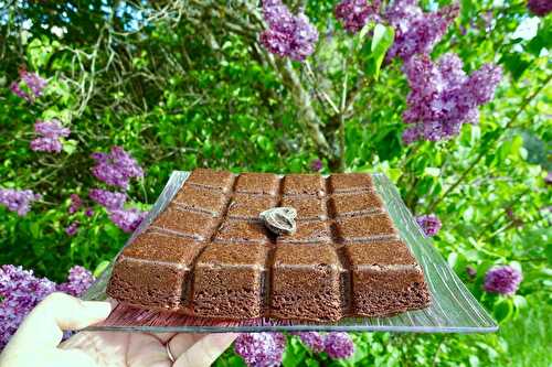 Gâteau fondant au chocolat et praliné