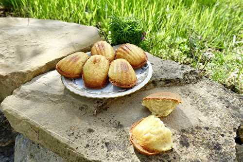 Madeleines