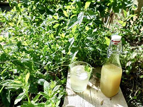 Sirop de menthe fraiche