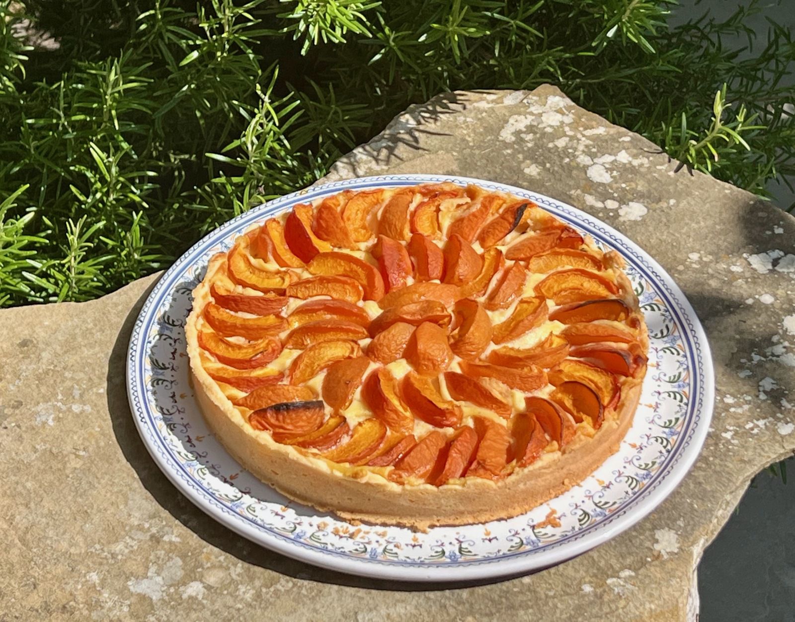 Tarte pâtissière à l'abricot