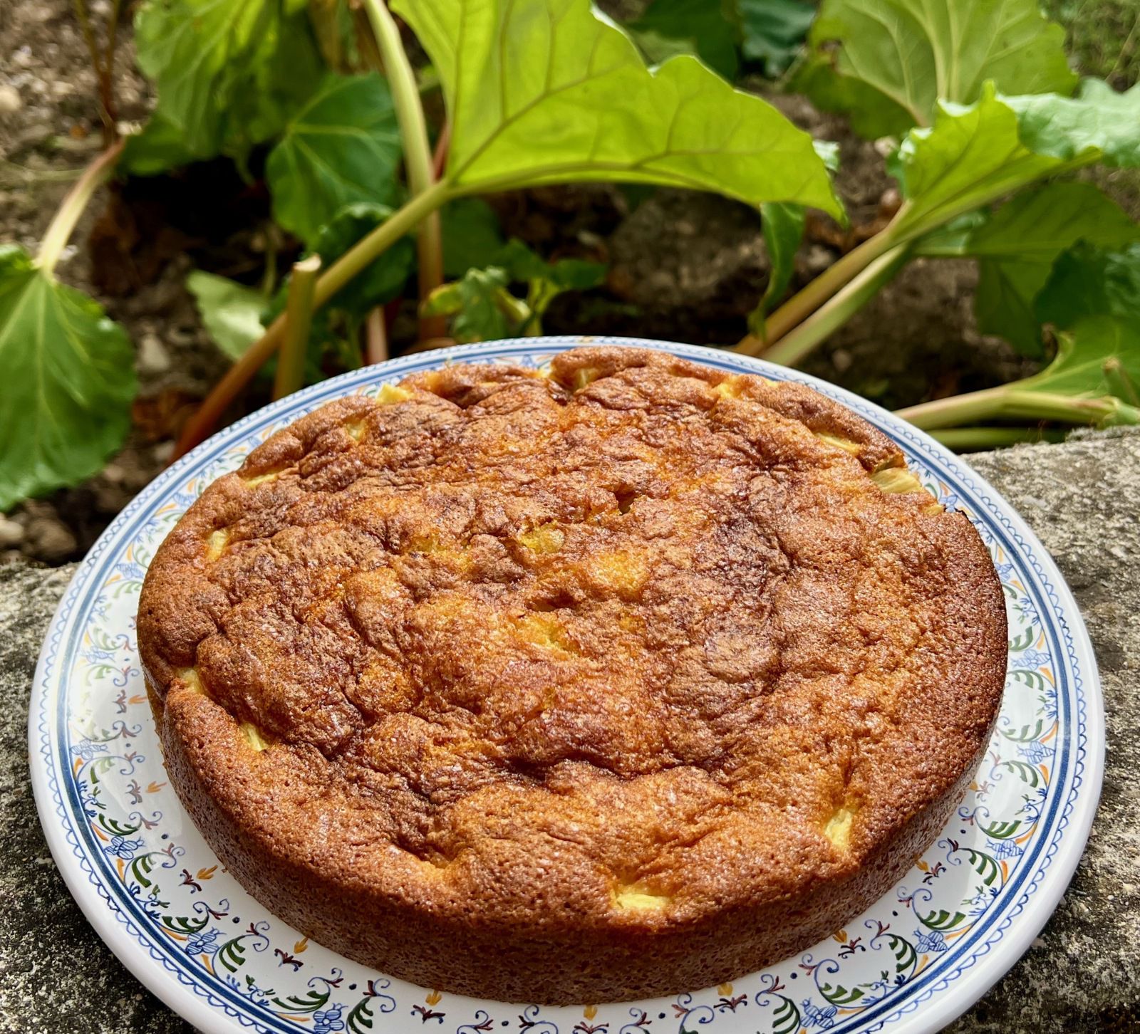 Gâteau à la rhubarbe