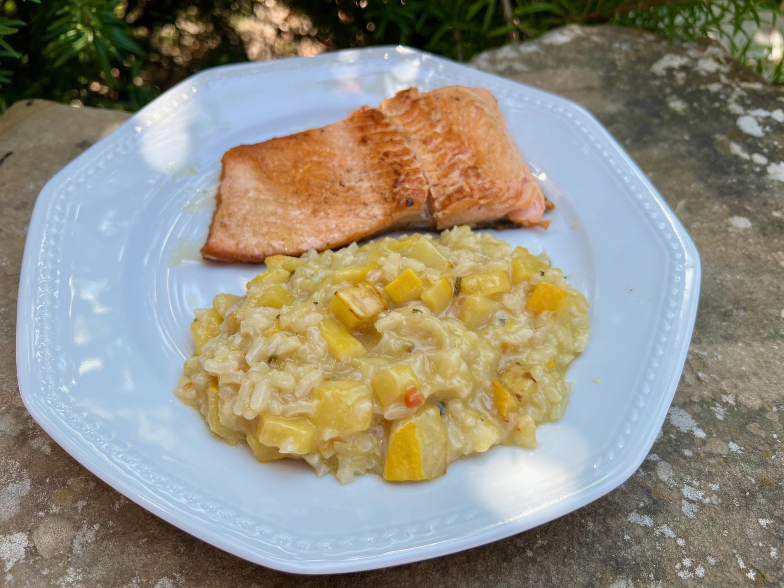 Risotto courgettes jaunes et pavé de truite