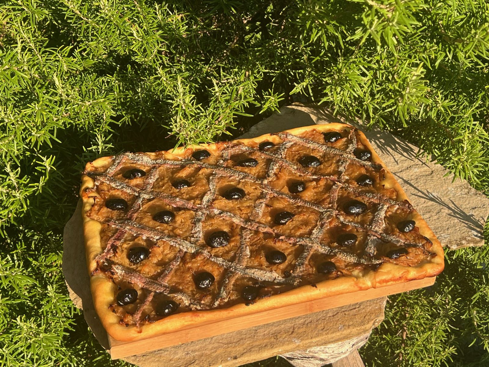 Pissaladière 