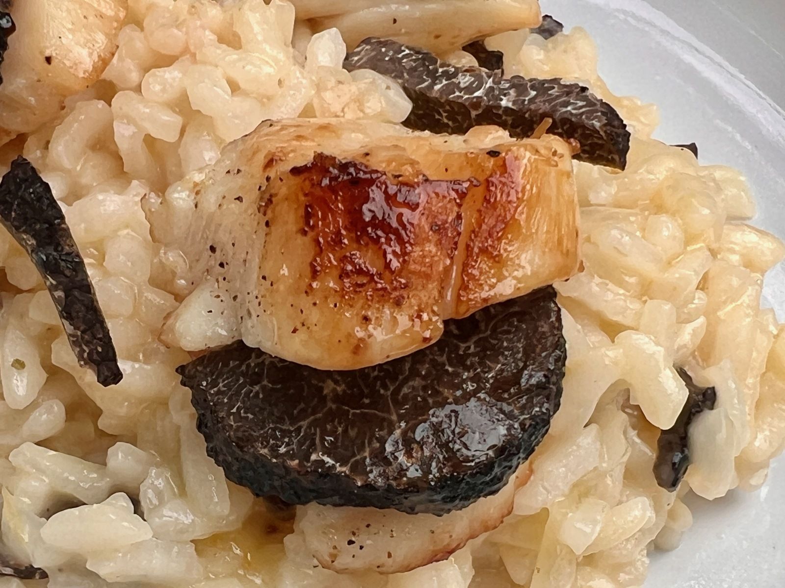 Saint jacques à la truffe