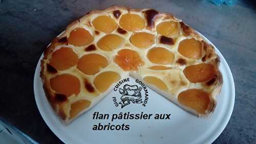 1 Recette facile, Flan pâtissier à l'abricot au thermomix