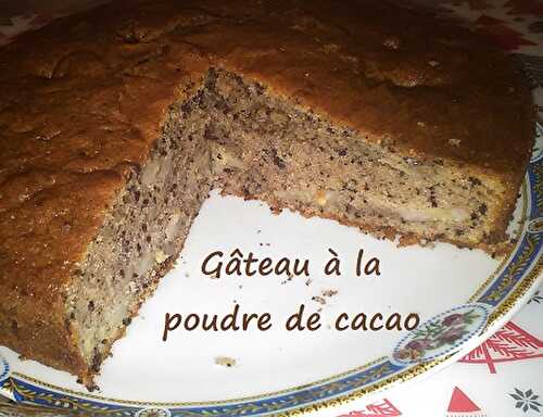 1 Recette facile, le gâteau à la poudre de cacao