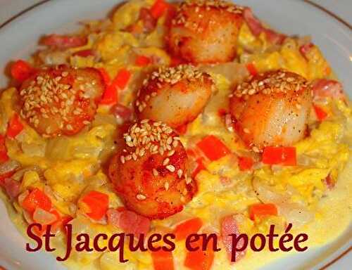 1 Recette facile, Noix de Saint-Jacques en potée