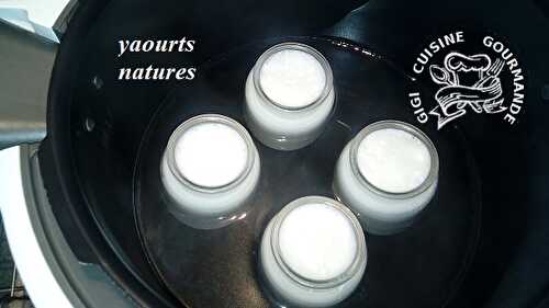 1 Recette Facile, Yaourt nature au lait entier au Thermomix