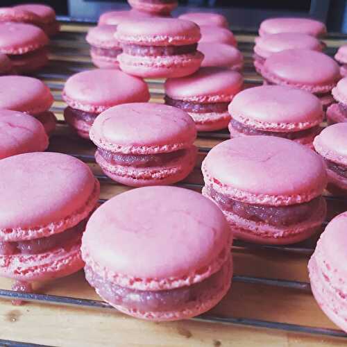 COQUES DE MACARONS