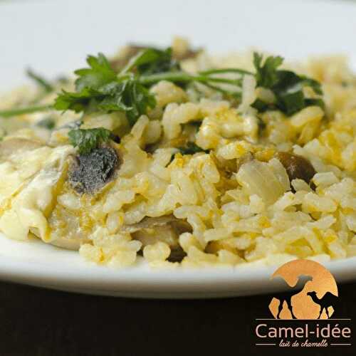 Risotto aux cèpes et lait de chamelle