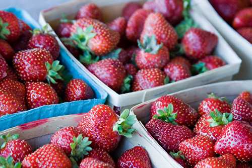 Fruit de saison : la fraise