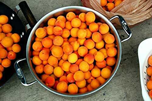 Fruit de saison : l’abricot 