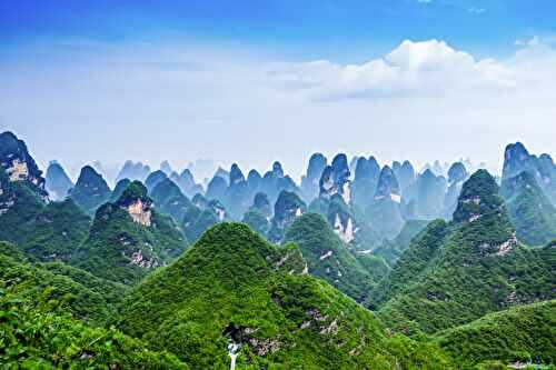 Voyage gourmand : que rapporter de Chine?