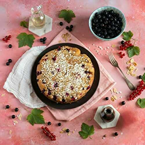 Gâteau fondant au cassis