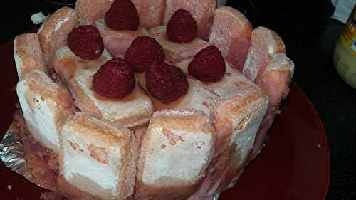 Charlotte aux framboises et aux biscuits roses de Reims