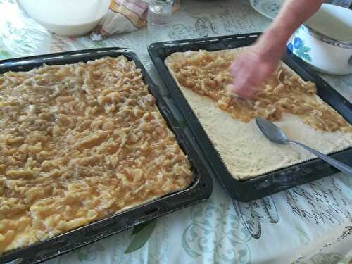 Ingrédients: PÂTE 500 g de farine 2 càc de sucre 1 sachet de levure sèche du boulanger...