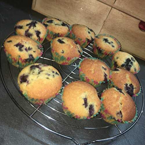 Muffins aux Myrtilles