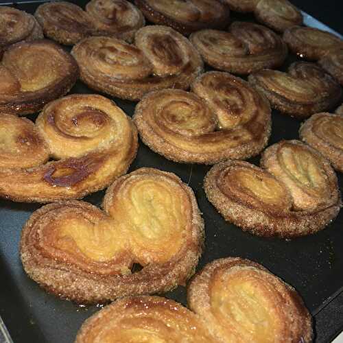 Palmiers maison