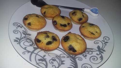 Petit gâteaux au chocolat blanc et cranberrys