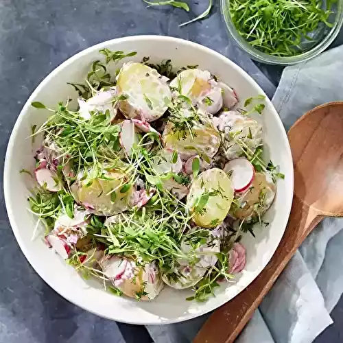Salade de pommes grenaille aux radis roses