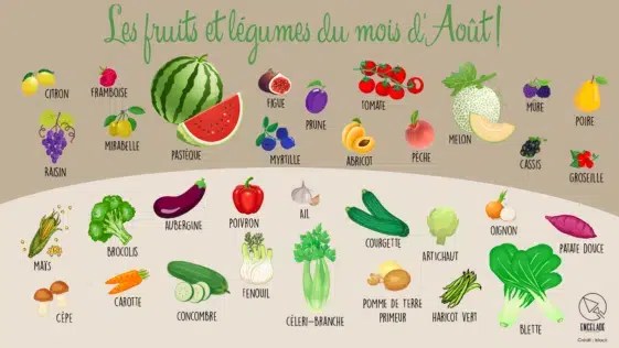 Produits de saison en août