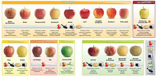 POMMES : Variétés, Saisons & Leur Consommation