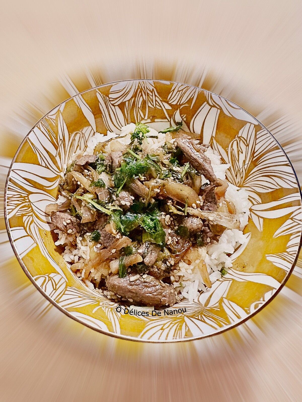 Gyudon "Bol de boeuf japonais"