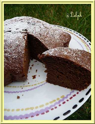 Gâteau à la Danette