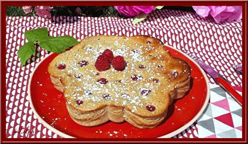 Gâteau au fromage blanc et framboises