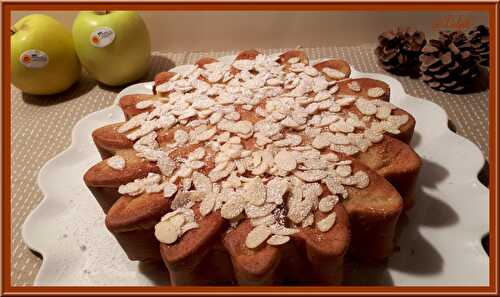 Gâteau moelleux aux pommes