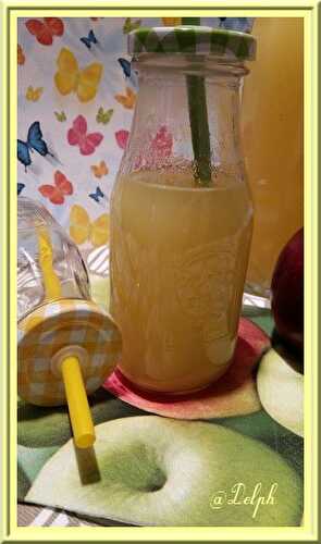 Jus de pommes au Thermomix